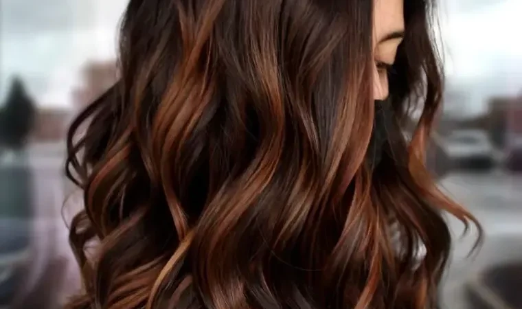 Summer Highlights for Dark Brown Hair