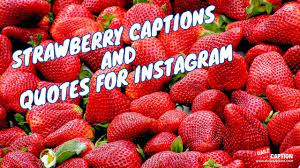 Strawberry Quotes Funny