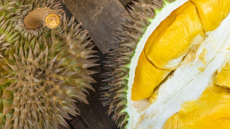 Durian Food