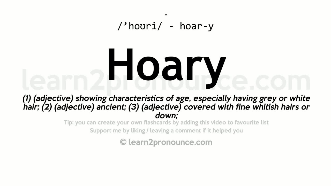 Hoary Definition