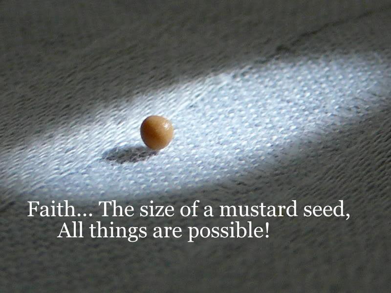 Mustard Seed Of Faith