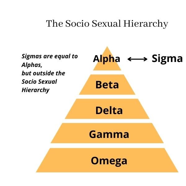 Sigma Males