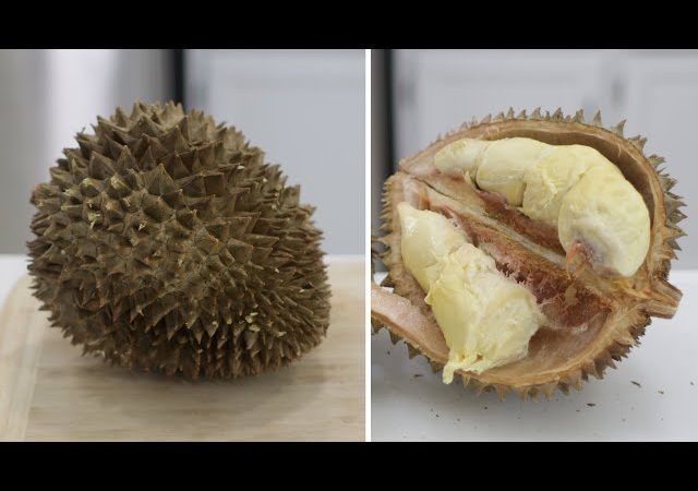 What is Durian