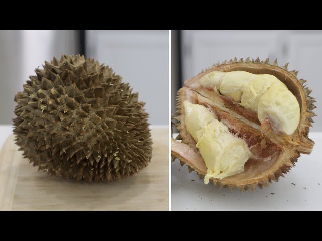 What is Durian