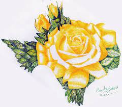 Yellow Rose Of Texas