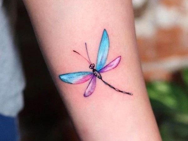 The Spiritual Meaning of the Dragonfly