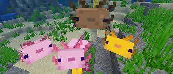 What Do Axolotls Eat in Minecraft?