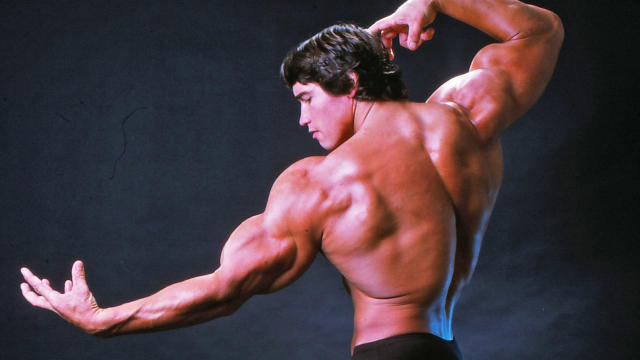 Arnold Schwarzenegger: A Closer Look at His Height and Its Impact