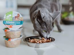 Top Rated Wet Cat Food: A Guide to Choosing the Best for Your Feline Friend